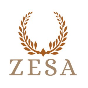 Logo Agentur ZESA aus Königstein